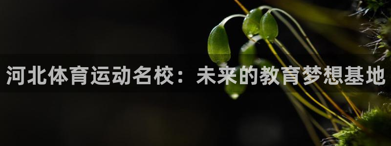 yy易游官网下载平台注册要钱吗安全吗:河北体育运动名校:未来