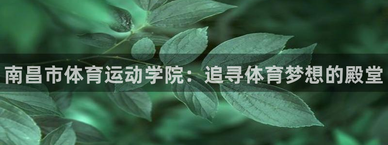 yy易游官网下载联系电话:南昌市体育运动学院:追寻体育梦想的