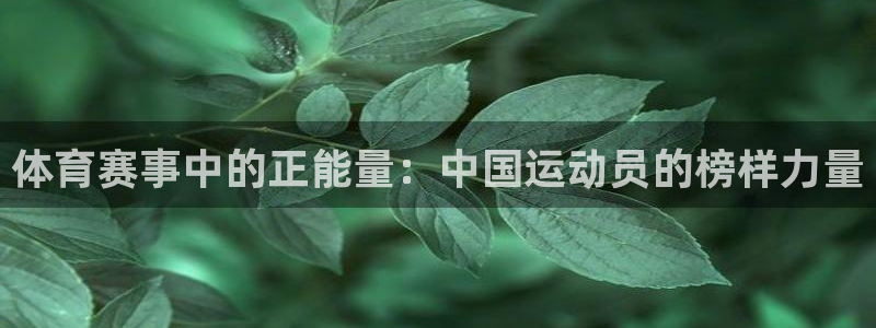 yy易游官方正版app集团官网首页:体育赛事中的正能量:中国
